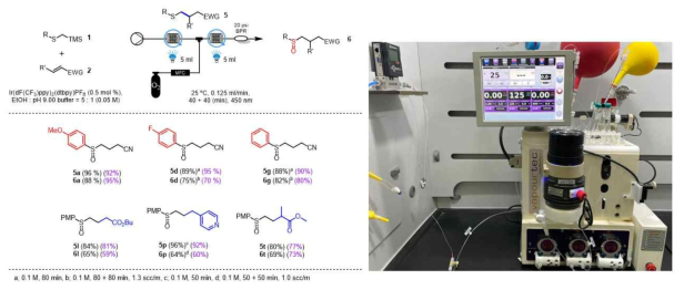 가시광선을 이용한 플로우 화학 기반의 선택적 sulfoxide 합성