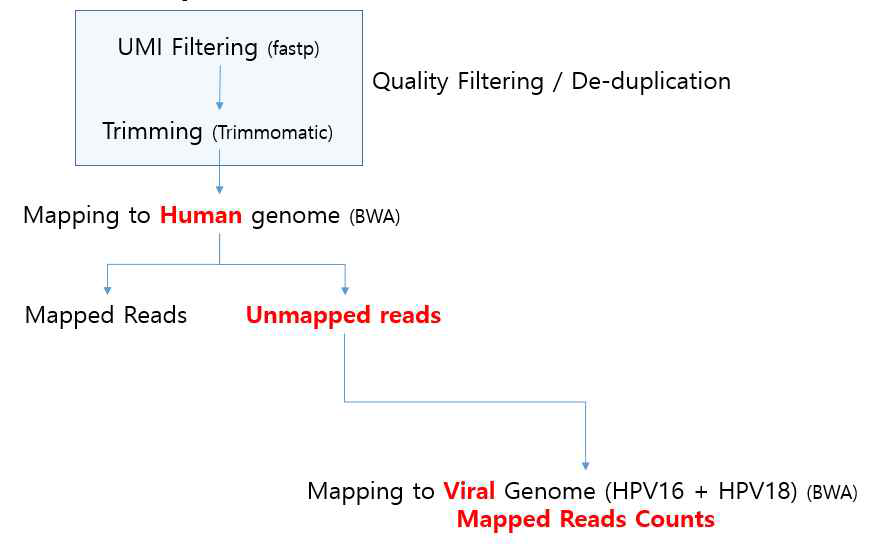 HPV cfDNA 염기서열법을 이용한 HPV 측정법 (Li et al)