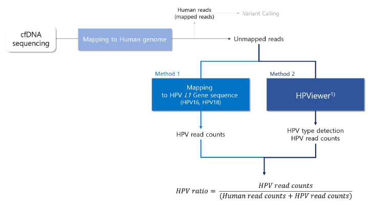 HPV cfDNA 염기서열법을 이용한 HPV 측정법 (Hao et al)