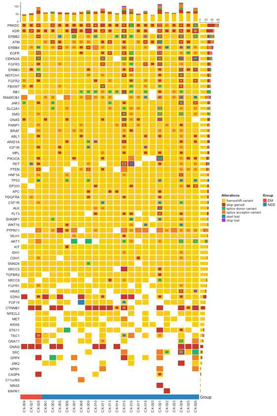 원격전이 (DM) 및 비전이 (NED) 환자의 온코플롯 (oncoplot)