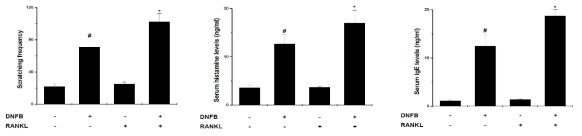 알레르기 반응에서 RANKL 역할 규명을 위해 몸을 긁는 횟수와 histamine, IgE 분석