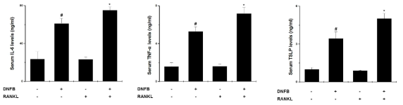 알레르기 반응에서 RANKL 역할 규명을 위해 IL-6, TNF-α, TSLP 분석