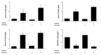 알레르기 반응에서 RANKL 역할 규명을 위해 IL-4, IL-5, IL-13, IFN-γ 분석