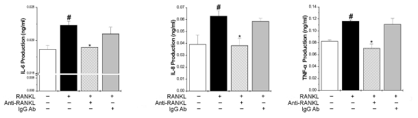 비만세포의 탈과립에서 RANKL 역할 규명을 위해 cytokine 분석