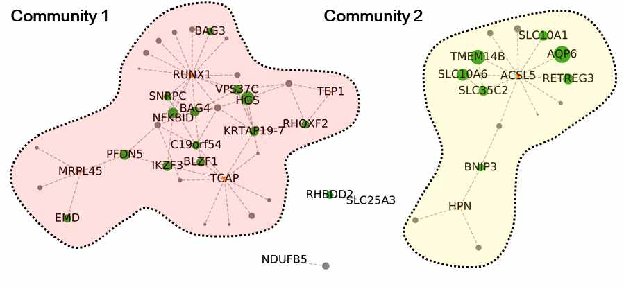 HuRI network에 기초한 one step neighbors of DEGs 분석