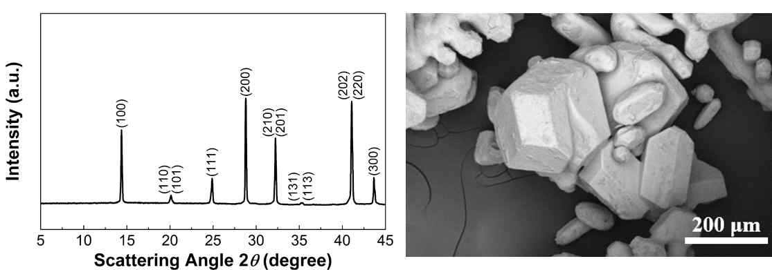 MASnI3 Single-source 결정 분석 (XRD, SEM) 결과