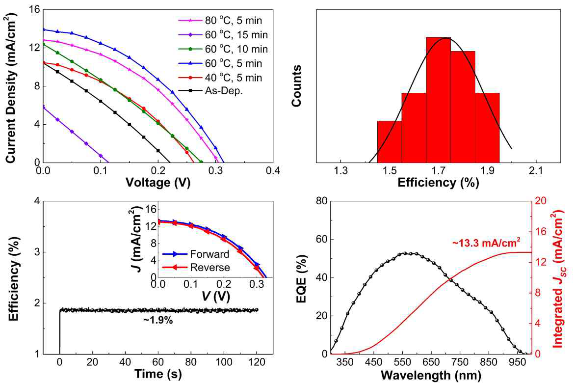 MASnI3 페로브스카이트 태양전지 평가 (J-V 곡선, 효율 Histogram, Stabilized output, EQE) 결과