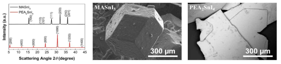 MASnI3 및 PEA2SnI4 Single-source 결정 분석 (XRD, SEM) 결과