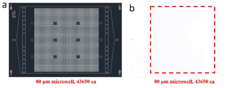 43,650개의 마이크로캡슐의 동시분석용 마이크로웰 미세유체칩 CAD도면(a) 및 미세유체칩 사진(b)