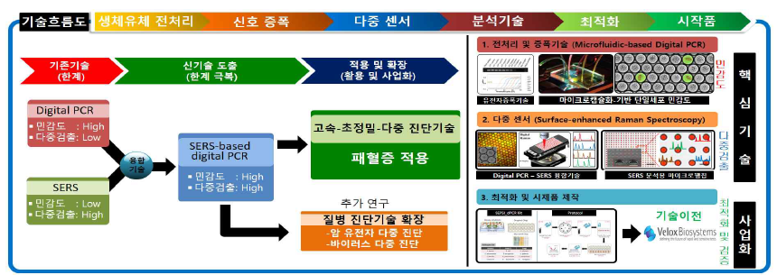 본 연구에서 개발하고자 하는 SERS기반 digital PCR 기술 흐름도