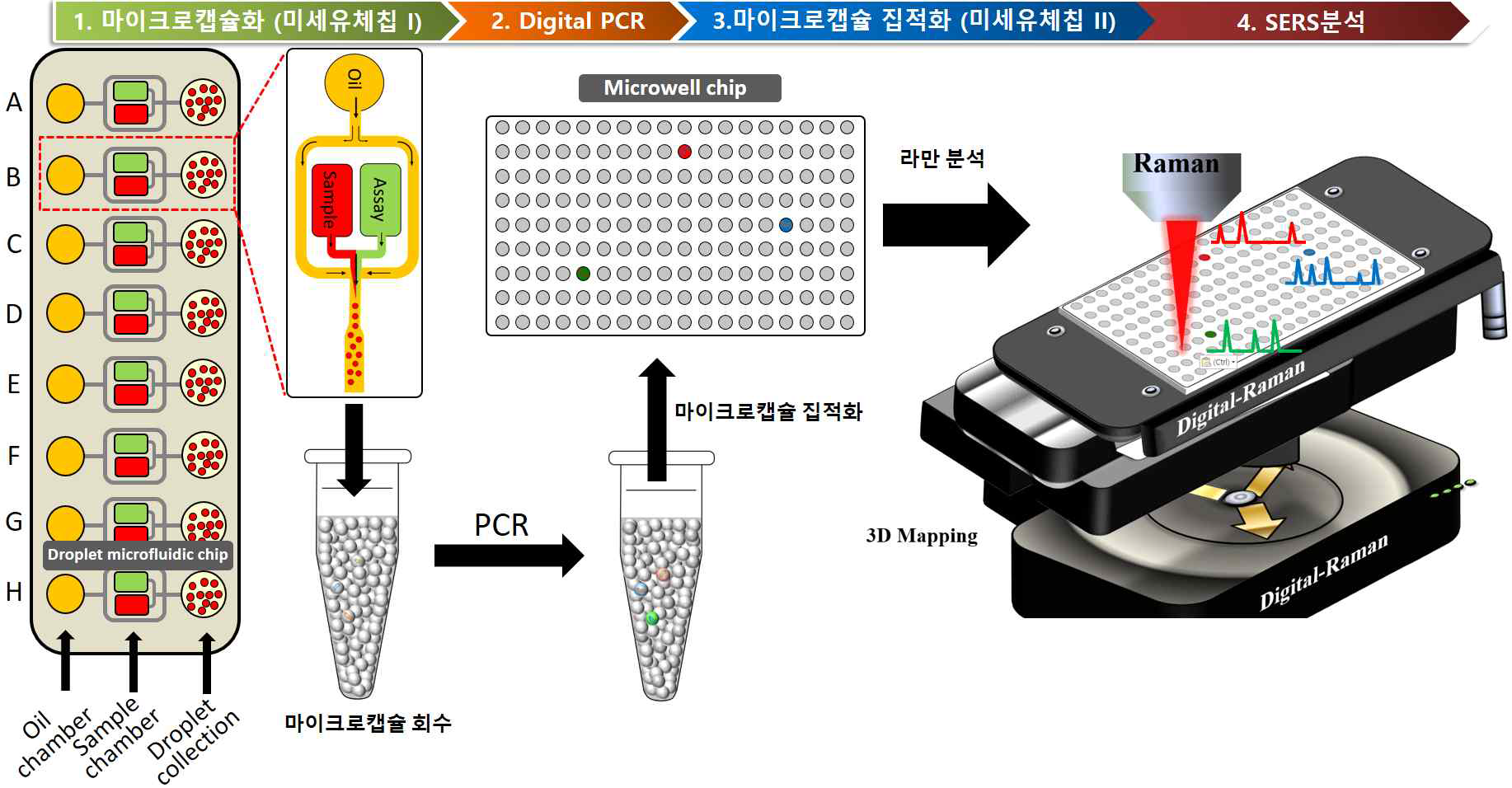 SERS기반 digital PCR기술 개념도