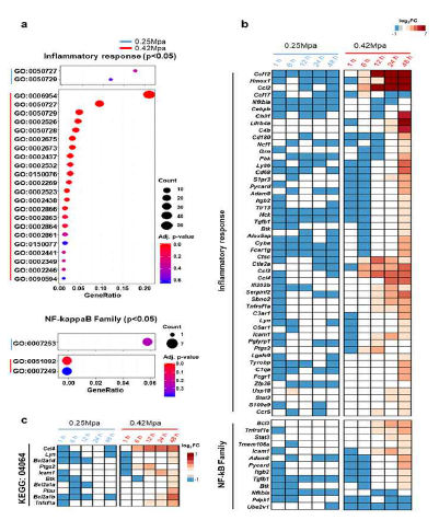 염증관련 유전자 발변 변화를 확인할 수 있는 GO 및 KEGG pathway 분석