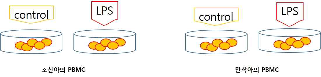 LPS자극에 대한 조산아와 만삭아의 MIF 관련 염증 반응 차이 조사