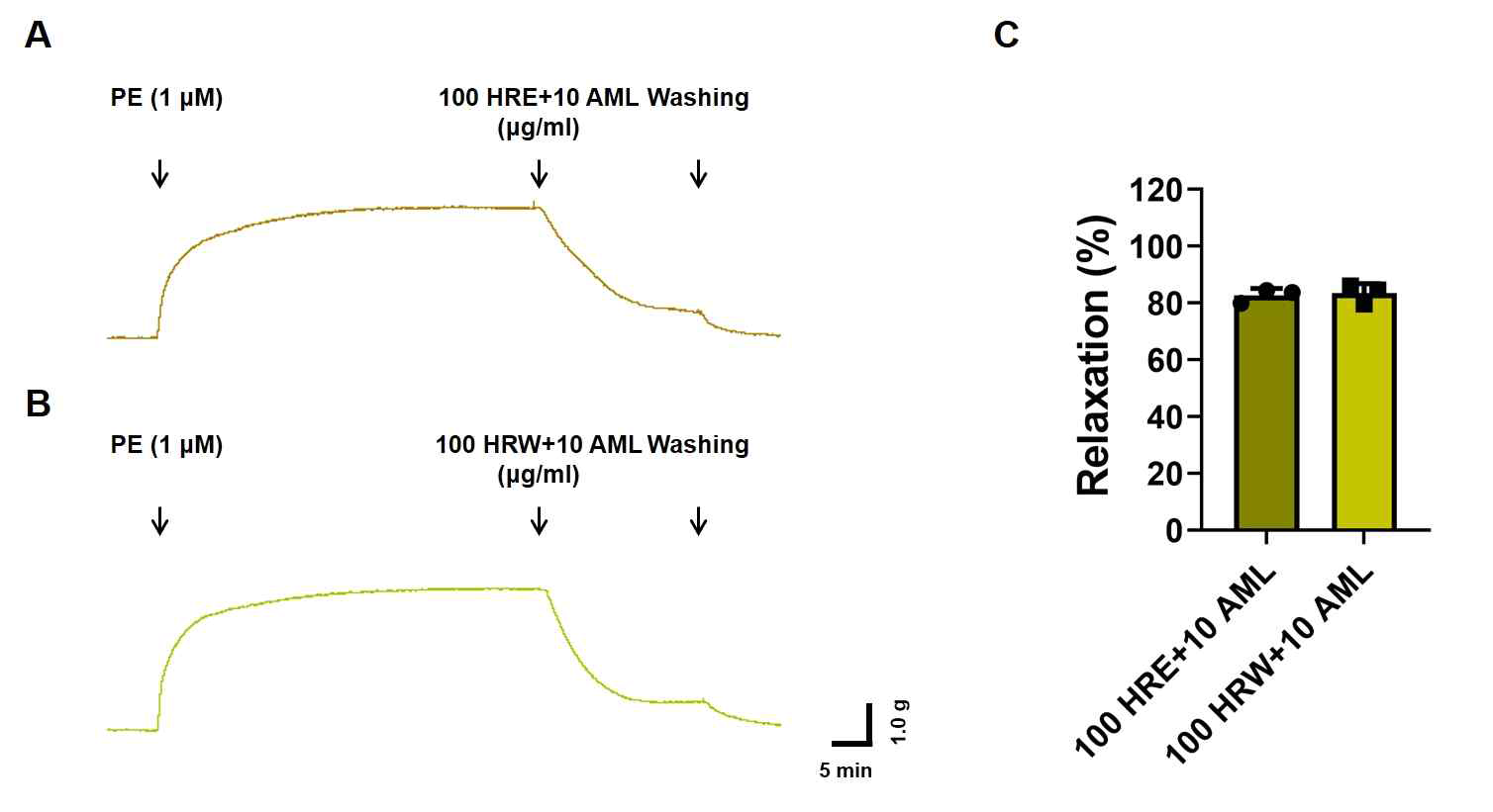 각 HR 추출물(100 μg/ml)과 AML(10 μ g/ml)의 병용투여 효과. (A) HRE+AML, (B) HRW+AML 그룹의 대표 사진, (C) 각 그룹당 혈관 이완율(%, n=3)