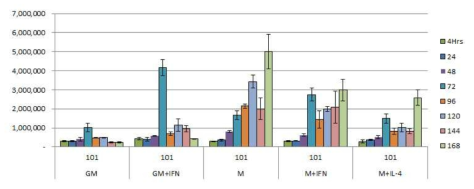 골수유래 마크로파지 (BMM) cell type에 따른 MAV 101 감염 후 intercellular MAV growth 확인