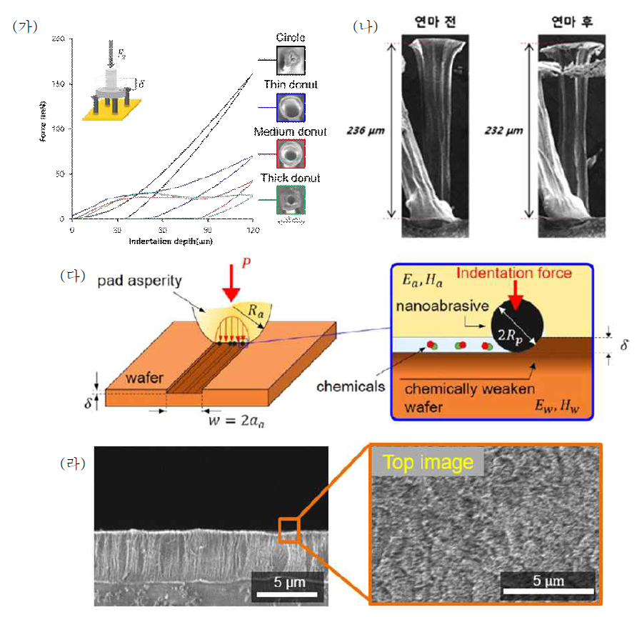 2차년도 주요 연구 수행 내용 (가) 마이크로 인덴터를 이용한 다양한 형태의 CNT 복합구조물 의 force-displacement curve, (나) shell 구조의 CNT 복합 표면 구조물의 연마 전후 측정한 전자현미경 사진, (다) 접촉역학에 기반한 새로운 연마패드의 이론 모델, (라) 균일하게 돌출된 CNT 함침 일체형 연마패드