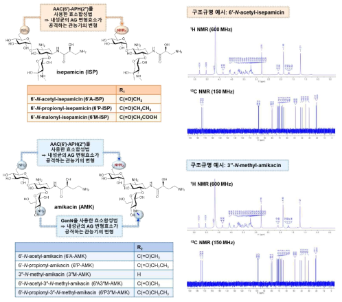 효소합성법을 통한 신규 aminoglycoside 유도체 8종의 생합성 및 구조규명