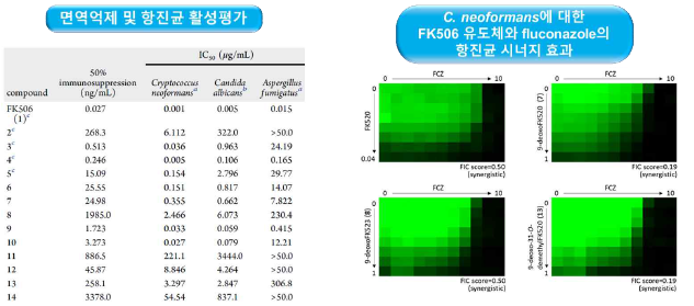 FK506 신규 유도체 7종의 구조규명 및 항진균 활성평가
