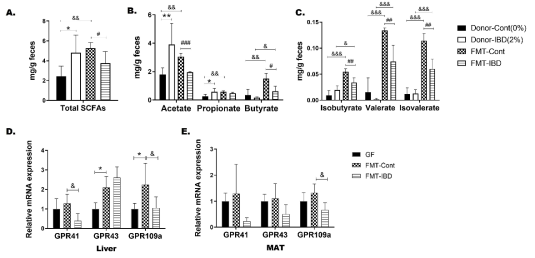 GF mice transplanted with fecal microbiota from colitis mice displayed a decreased level of acetate and butyrate. (기타 구체적인 figure legend는 생략)