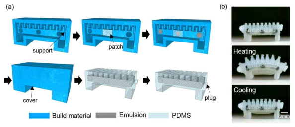 (a) 3D 프린팅 주형 제거 공정을 이용한 열공압 구동 방식의 마이크로 소프트 이동 로봇 제작 공정 (b) 제작된 액추에이터의 팽창 및 수축
