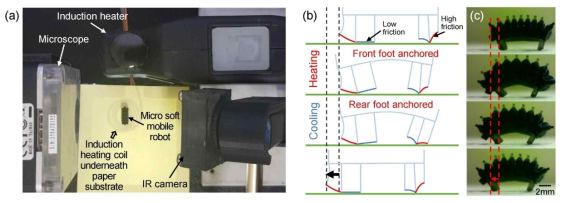 (a) 액추에이터의 작동 및 이동 테스트를 위한 실험 구성. (b) 액추에이터 내부의 공기가 팽창하면서 액추에이터가 휘어져 다리와 바닥의 접촉면이 변화하여 액추에이터의 전진이 이루어짐을 보여주는 개략도. (c) 실제 액추에이터의 전진을 광학현미경을 통해 촬영함