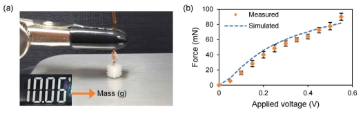공압 벨로우 액추에이터의 힘 특성. (a) 액추에이터가 발휘하는 힘을 측정하기 위한 실험 구성. 0.4 V가 인가되었을 때 측정된 질량(mass)이 표시. (b) 히터에 인가하는 전압에 따라 측정 및 예측된 액추에이터의 발휘 힘