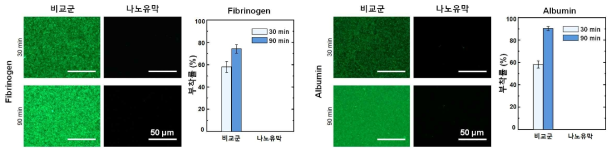 비교군과 나노유막 표면 위 단기간/장기간 혈액단백질 부착 실험 및 결과