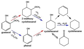 레늄 촉매 상에서 guaiacol의 수첨탈산소 반응 경로