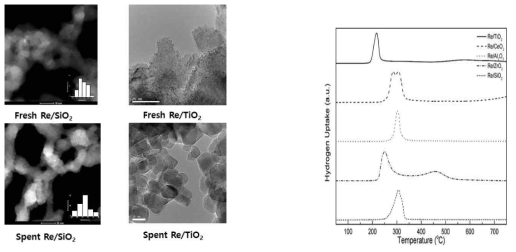 다양한 레늄 금속 촉매들의 H2-TPR 및 HR-TEM 분석 결과