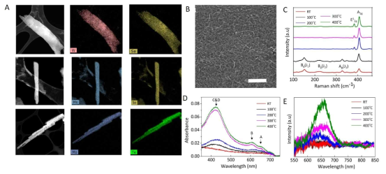 A) various TMD nanoribbons B) membrane made of 1D TMD naoribbons C)Raman spectra (D) UV-visible and (E) PL spectra showing evolution of semiconducting property via thermal annealing at increasing temperature