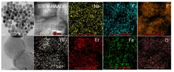 TEM and STEM-HADDF with EDX mode images of upconversion nanoparticles and upconversion semiconducting core-shell structure nanoparticles