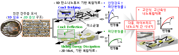 본 연구진이 제안하는 1D 탄소나노튜브와 2D MoS2 하이브리드 나노소재 기반 복합재료의 개념