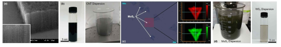 (a) 화학 기상 증착법으로 합성된 탄소나노튜브의 주사전자현미경 사진, (b) Sonication 및 Centrifuge 공정 최적화를 통하여 용액에 균일하게 분산된 탄소나노튜브의 사진, (c) 화학 기상 증착법으로 합성된 2차원 MoS2의 현미경 사진 및 Raman Mapping, (d) Sonication 및 Centrifuge를 통하여 용액에 균일하게 분산된 MoS2 및 WS2의 사진