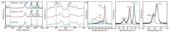 1차원 탄소나노튜브와 2차원 WS2 하이브리드의 (가) Raman Spectrum, (나) XPS Spectrum