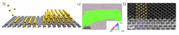 (가) 2차원 물질 흑린 위 단결정 금속 필름 형성 과정 모식도. (나) 흑린 위 형성된 단결정 금 박막의 후방산란전자 회절패턴 매핑 결과. (다) 투과전자현미경을 이용한 금-흑린의 계면 구조 관찰