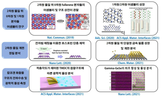 연구과제 내용 및 연구 실적 요약도