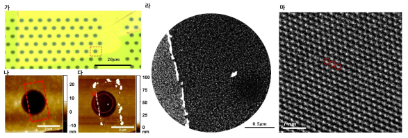 투과전자현미경 및 원자력현미경 기반 2차원 표면 불순물 제거 및 확인. (가) Si3N4 투과 전자현미경 그리드 위 전사된 그래핀 광학현미경 이미지. (나) 폴리머 잔여물이 제거되기 전 TEM 그리드 구멍 위의 그래핀 AFM 이미지. (다) 같은 위치 폴리머 잔여물 제거 후 AFM 이미지. (라) 잔여물이 부분적으로 제거된 그래핀 표면의 STEM 이미지. (마) 표면 잔여물이 제거된 곳에서 관찰된 그래핀 격자 구조 TEM 이미지
