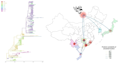 동아시아지역 H5N6 바이러스의 지역간 야생조류를 통한 바이러스 전파 분석 결과