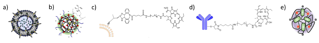 (a) 자극 민감성 리포좀 (b) 암 미세환경 민감성 생체 고분자 (c) 자극 민감성 물질을 수식한 줄기세포, (d) 자극 민감성 소재가 접합된 항체 (e) 자극 민감성 백신 전달체