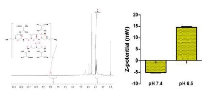 pH 민감성 면역 모듈레이터 합성과 물리·화학적 특성 분석 결과