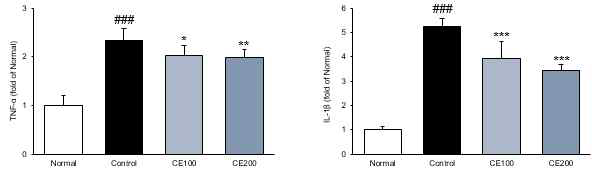 하부식도괄약근 내 염증성 cytokine의 mRNA 발현 분석