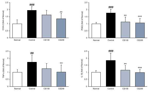 십이지장 prostaglandin 및 염증성 cytokine mRNA 발현 분석