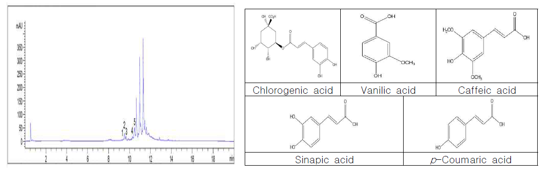 함초 ethyl acetate 추출물의 HPLC-DAD 분석(A) 및 주요 성분의 구조식(B)