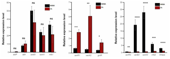 RNA-seq analysis of the expression of vanA1-vanA3 locus. Each bar is the average ± standard deviation (error bars) of four independent experiments and the asterisks indicate statistically significant differences (ns, p-value > 0.05; *, p-value < 0.05; **, P < 0.01; ***, P < 0.001; ****, P < 0.0001)