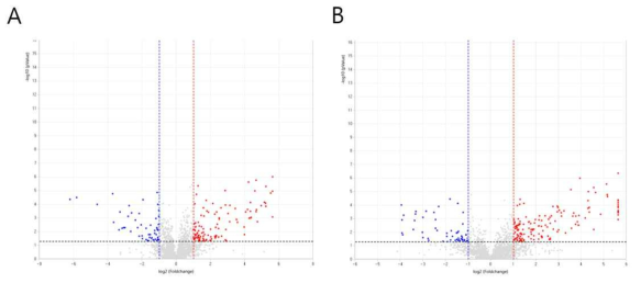 the volcano plot of total proteoms when cultivated with 5mM 4MBA (A) and FA (B)