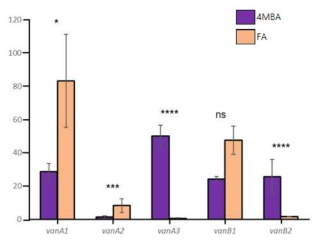 Proteomic analysis of the expression of vanA1-vanA3 locus. Each bar is the average ± standard deviation (error bars) of three independent experiments and the asterisks indicate statistically significant differences (ns, p-value > 0.05; *, p-value < 0.05; **, P < 0.01; ***, P < 0.001; ****, P < 0.0001)