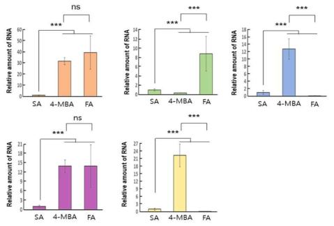 qRT-PCR analysis of the expression of vanAB genes. Each bar is the average ± standard deviation (error bars) of four independent experiments and the asterisks indicate statistically significant differences (ns, p-value > 0.05; *, p-value < 0.05; **, P < 0.01; ***, P < 0.001; ****, P < 0.0001)