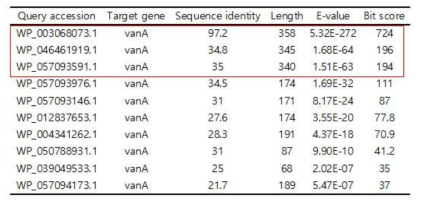 vanA genes in C. testosteroni P19