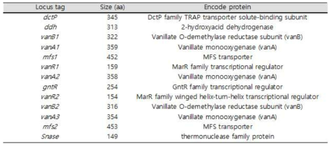 Gene context of vanA and vanB gene locus