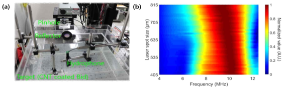 레이저 Spot의 크기에 따른 주파수 변화 (a) 실험 셋업 (b) 실험 결과